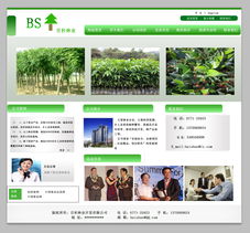 “綠水青山”林業(yè)開發(fā)網(wǎng)站頁面設(shè)計與開發(fā)實戰(zhàn)指南